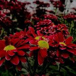 دانلود آهنگ جدید ابرو گوندش بیر دویر بیتی